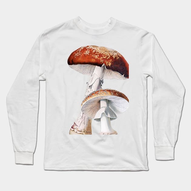 Amanita muscaria, Toadstool, Fly agaric, vintage illustration Long Sleeve T-Shirt by SouthPrints